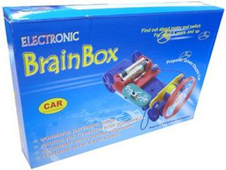 Brain Box Car Experiment