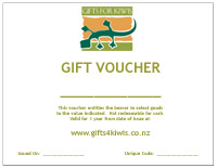 $100 Gift Voucher (Sent by Courier)