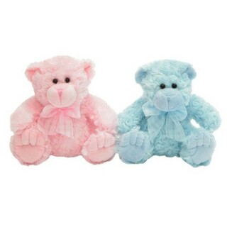Teddy Bear - Georgie 25cm Blue or Pink