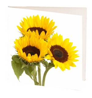 Mini Gift Card - Sunflowers