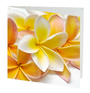 Mini Gift Card - Frangipani